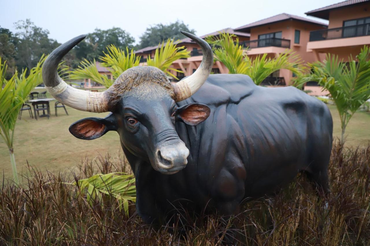 The Pench International Hotel Khawasa Exterior photo